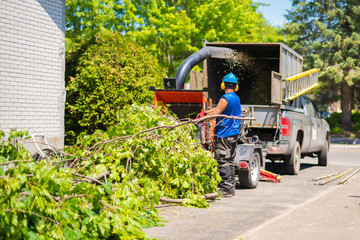 Tree Removal Services Make Your Property Cleaner